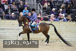 23R13_05179 thumbnail