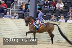23R13_05180 thumbnail