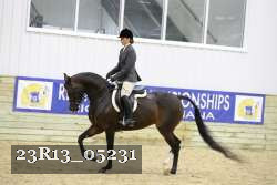 23R13_05231 thumbnail
