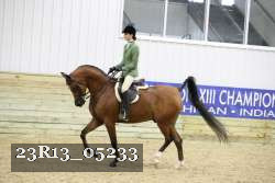 23R13_05233 thumbnail