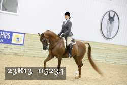 23R13_05234 thumbnail