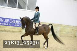 23R13_05236 thumbnail