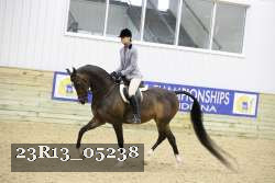 23R13_05238 thumbnail