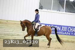 23R13_05239 thumbnail