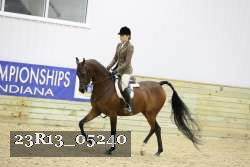 23R13_05240 thumbnail