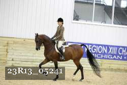23R13_05241 thumbnail