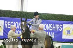 23R13_05244 thumbnail