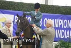 23R13_05251 thumbnail