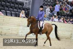 23R13_05256 thumbnail
