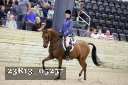 23R13_05257 thumbnail