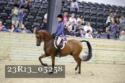 23R13_05258 thumbnail