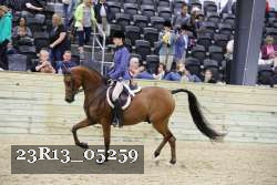 23R13_05259 thumbnail