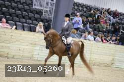 23R13_05260 thumbnail