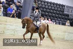 23R13_05261 thumbnail