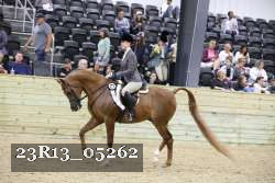23R13_05262 thumbnail