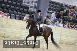 23R13_05263 thumbnail