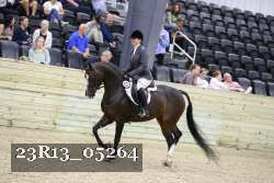23R13_05264 thumbnail