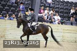 23R13_05265 thumbnail