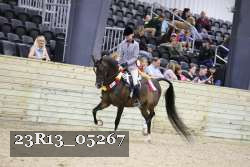 23R13_05267 thumbnail