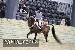 23R13_05268 thumbnail