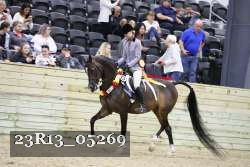 23R13_05269 thumbnail