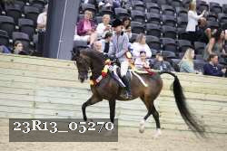 23R13_05270 thumbnail