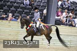 23R13_05271 thumbnail