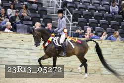 23R13_05272 thumbnail