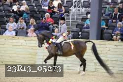 23R13_05273 thumbnail