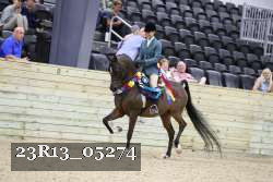 23R13_05274 thumbnail