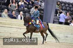 23R13_05275 thumbnail