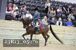 23R13_05276 thumbnail