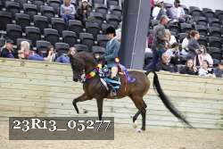 23R13_05277 thumbnail