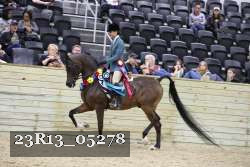 23R13_05278 thumbnail