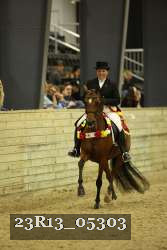23R13_05303 thumbnail