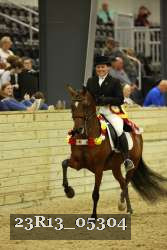 23R13_05304 thumbnail