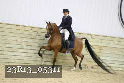 23R13_05311 thumbnail