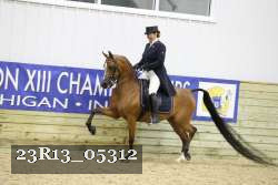 23R13_05312 thumbnail