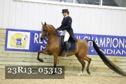 23R13_05313 thumbnail