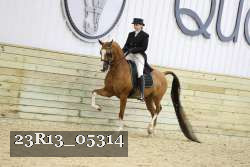 23R13_05314 thumbnail