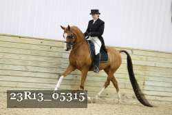 23R13_05315 thumbnail