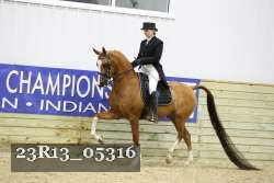 23R13_05316 thumbnail