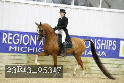 23R13_05317 thumbnail