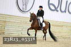 23R13_05318 thumbnail