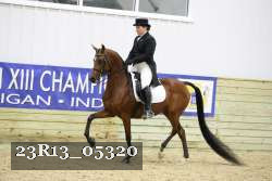 23R13_05320 thumbnail