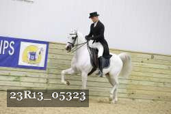 23R13_05323 thumbnail