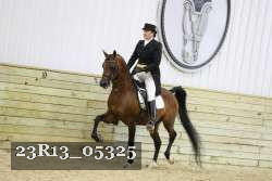 23R13_05325 thumbnail