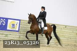 23R13_05326 thumbnail