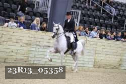 23R13_05358 thumbnail