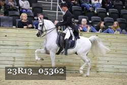 23R13_05362 thumbnail